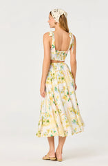 Lemon paradise