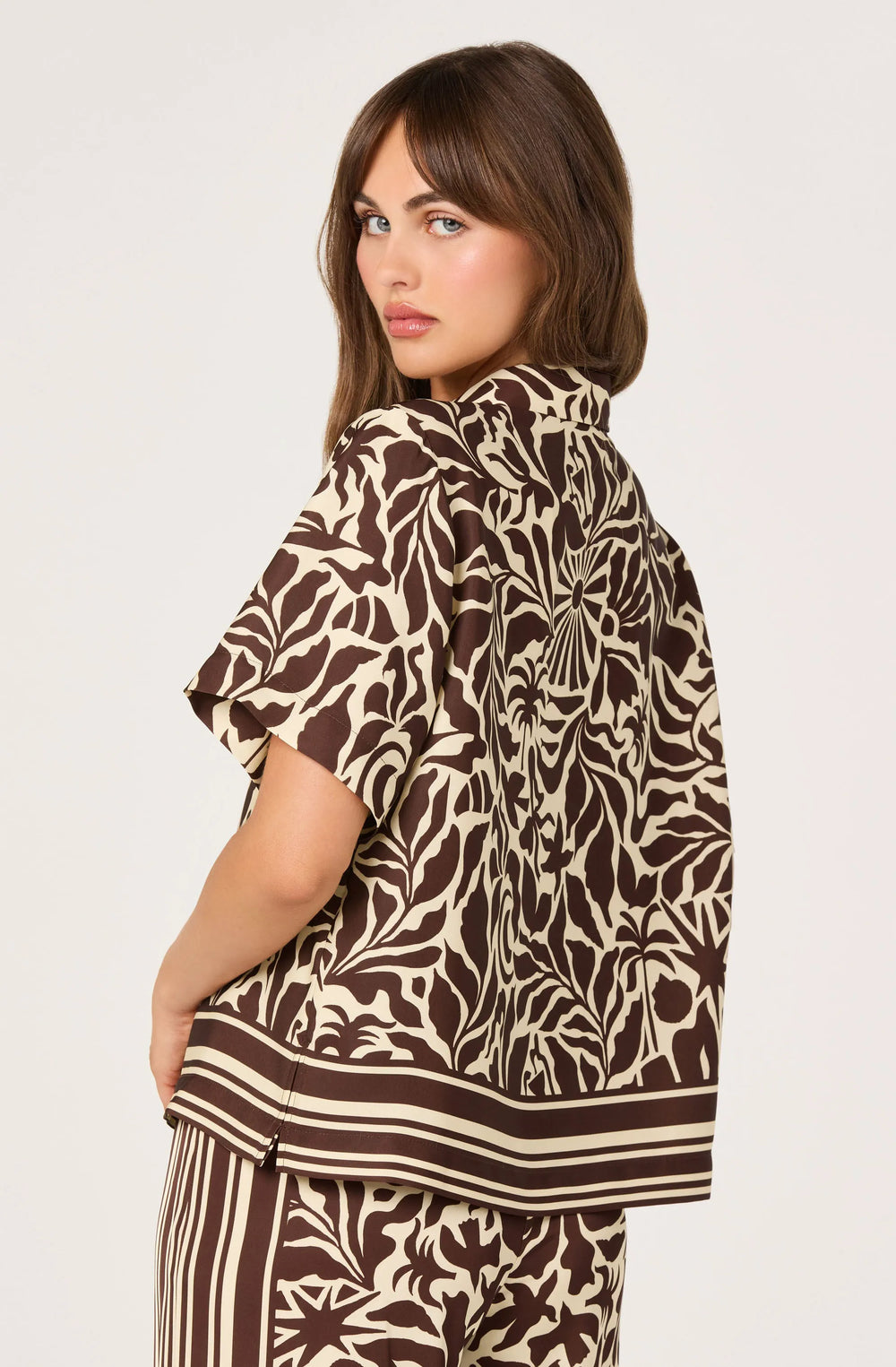 Brown tropical