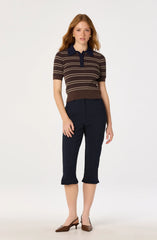 Brown navy stripe