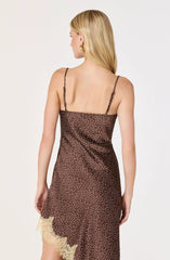 Brown polka dot